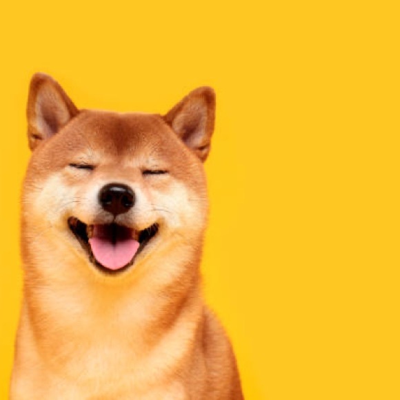 shibashoppe